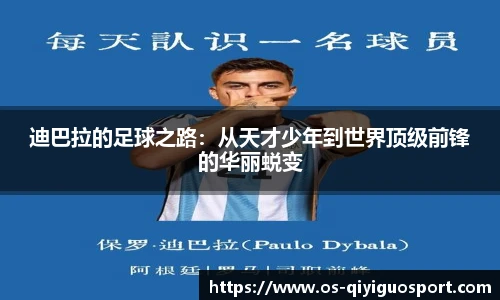 奇异果体育网址